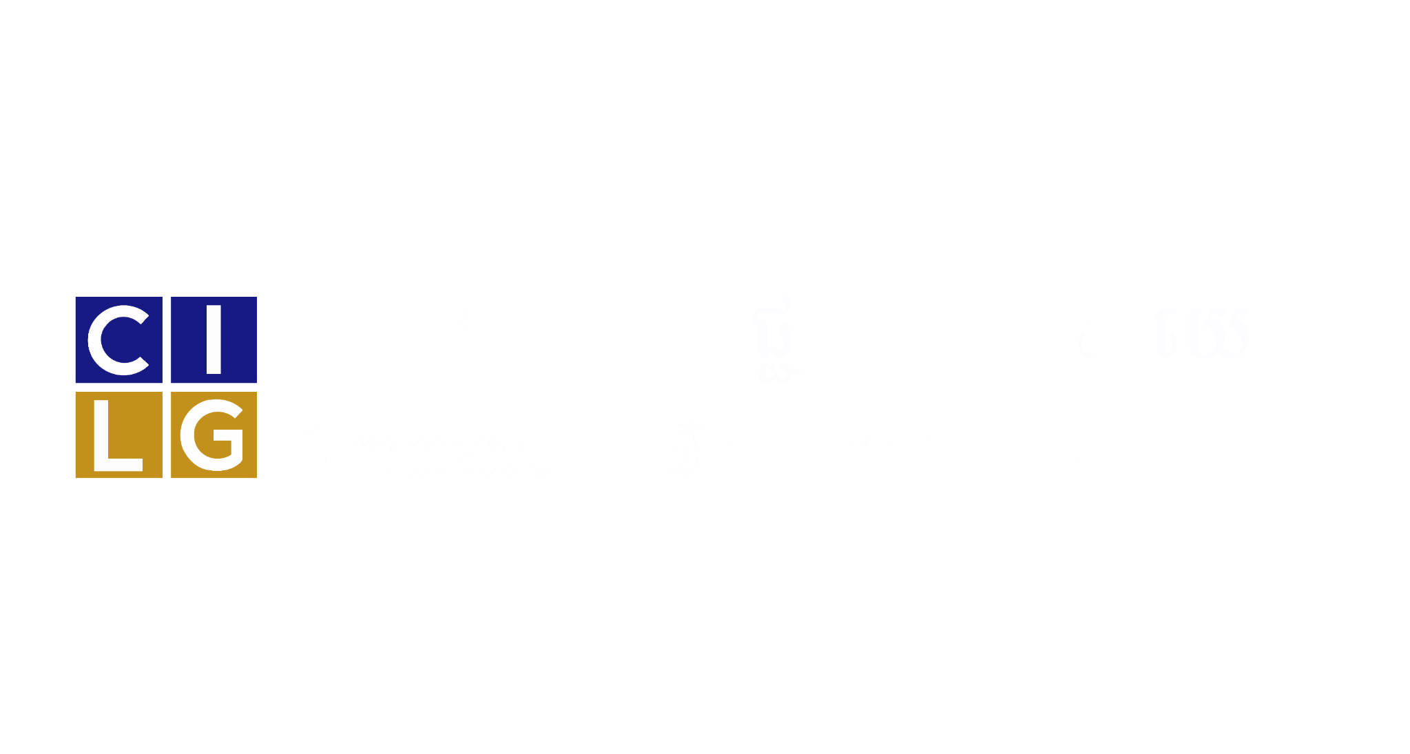Commerce & Investment Law Group